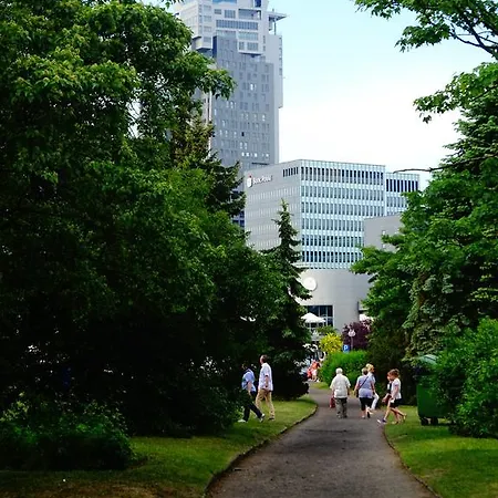 Muszelka Gdynia