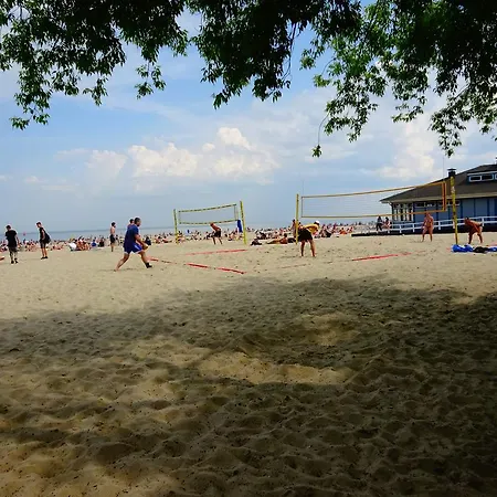 Muszelka Gdynia