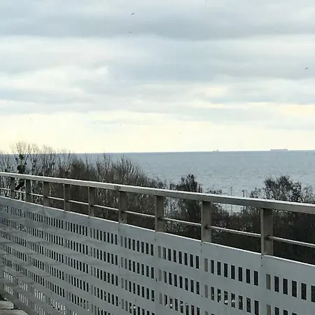 Muszelka